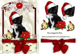 Cute Kitty in Santa Hat in Lace Frame