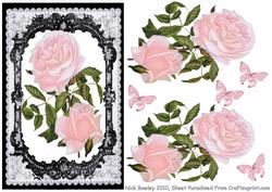 Lovely Roses in Fancy Lace Frame