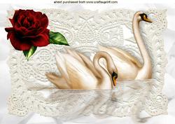 Pretty Red Rose on Lace with Swans A4