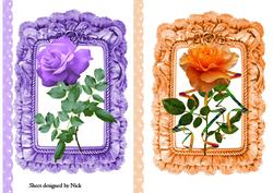 Pretty Roses in Frilly Frame Toppers