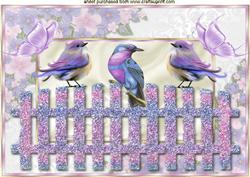 Pretty Song Birds with Butterflies in Floral Frame A4