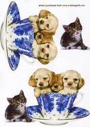 Cute Little Puppies in a Teacup with Kitten