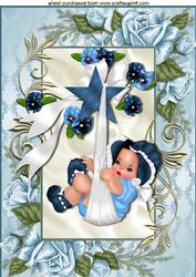 Baby Boy in Blue Rose Frame A4