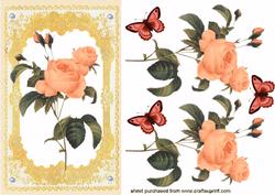 Gorgeous Peach Roses & Matching Butterflies in Pretty Lace Frame