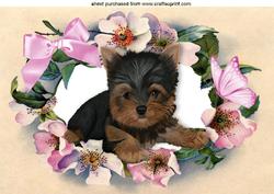 Cute Little Yorkshire Terrier in Flower Frame A4