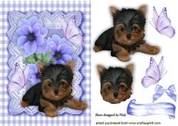 Cute Yorkshire Terrier in Gingham Frame with Flowers