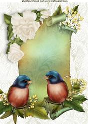Pretty Birds on a Scroll with White Roses A4
