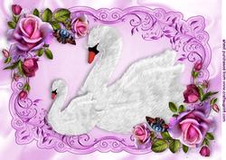 Pretty White Swans in Pink/purple Rose Frame A4