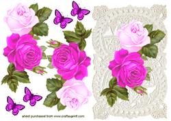 Stunning Pink/cerise Roses on Ecru Lace