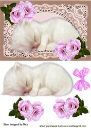 Cute Kitty Sleeping on Ecru Lace with Pink Roses