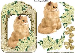 Persian Ginger Cat in Floral Lace Frame