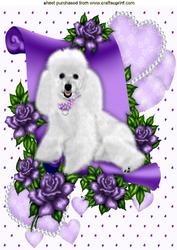 Princess White Poodle on Scroll with Hearts and Roses A4