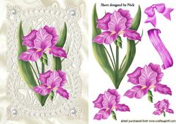 Pink Iris on Vintage Lace with Pearls