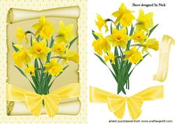 Daffodils with Bow on a Scroll