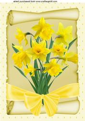 Daffodils on a Scroll with Bow A4