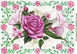 Beautiful Pink Roses in Rose Pink Frame A4