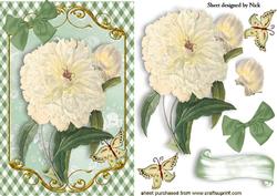 Cream Vintage Flowers and Butterflies with Gingham