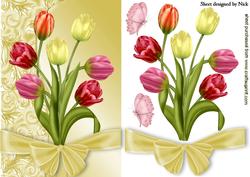 Pretty Coloured Tulips with Big Bow