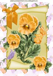 Peach Pansies with Butterflies on a Scroll A4