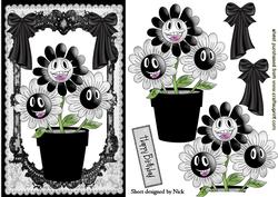 Funny Face Black/white Flowers in Lace Frame with Bows