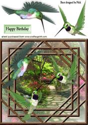 Pretty Humming Birds in the Garden with Window 8x8