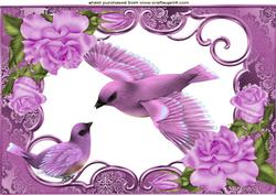 Pretty Pink Bird in Flight with Roses A4
