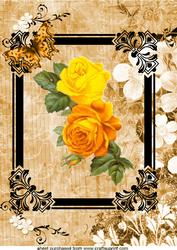 Pretty Autumn Colour Floral A4 Topper in Lovely Frame