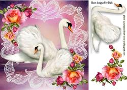 White Swans on Lace with Roses 8x8