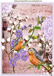 Pretty Bird on Music Sheet with Purple Flowers A4