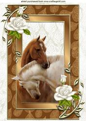 Horses Heads Entwined with Gold and White Rose Frame A4