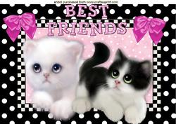 Best of Friends Cute Little Kitties with Bows A4