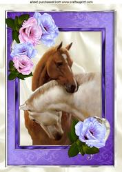 Beautiful Horses Entwined in Purple Rose Frame A4