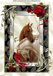 Horses in Frame of Red Roses A4
