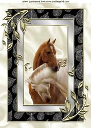 Beautiful Horses Heads Entwined in Silver/black Frame A4
