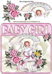 Sweet Little Baby Girl with Roses 8x8