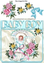 Sweet Baby Boy with Roses 8x8