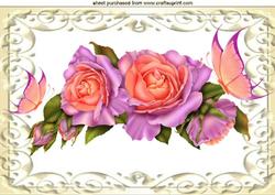Pink Roses with Butterflies in Ornate Frame A4