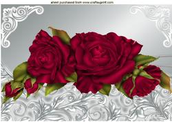 Beautiful Red Roses in Ornate Frame A4