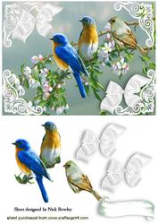 Birds Sitting on a Branch of Pink Blossoms