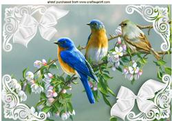 Birds Sitting on a Branch of Pink Blossoms A4