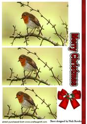 Cute Little Robin Pyramids