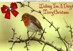 Cute Little Robin A4