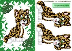 Cute Little Tiger in Frame