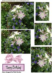 Pretty Pink Lillies in the Garden Pyramids