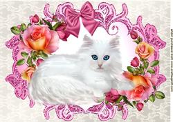 White Kitty in Frame of Roses with Bow A4