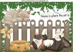 Home is Where the Cat Is! Lazy Cats A4