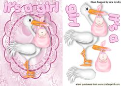 It's a Girl! with Cute Stork in Lace Frame