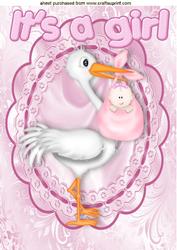 It's a Girl! with Cute Stork in Lace Frame A4