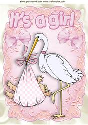 Cute Baby Girl! Carried by a Stork A4