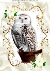 Beautiful Owl on a Branch with Flowers A4